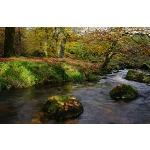 Meavy River, Devon