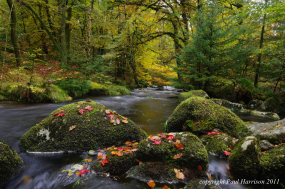 Norsworthy River, Devon, autumn