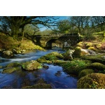 Norsworthy Bridge, Devon