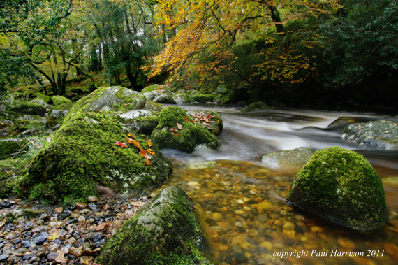 River Plym, Dartmoor