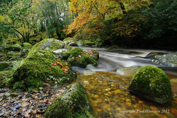 River Plym