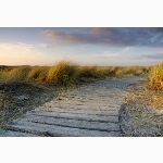 Slatted wooden path, Wittering beach, Sussex