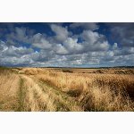 Harrow Hill, Sussex Downs