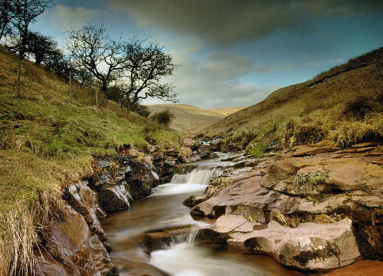 Stream in the Brecon national park