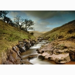 Stream in the Brecon national park