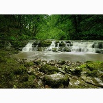Falls, Brecon national park
