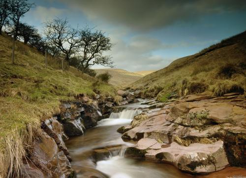 Stream in the Brecon national park