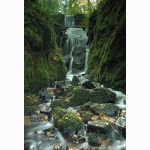 Canonteign Falls