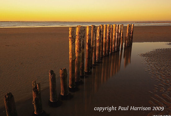 Posts on the beach at West Wittering