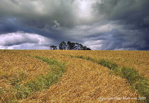 Duncton Hill