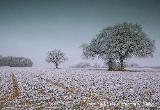 Coolham Hill, Sussex, in winter