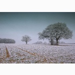 Coolham Hill, Sussex, in winter