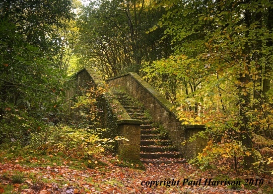 Steps, Chelwood Gate, Sussex