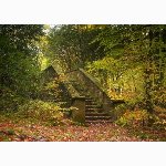 Steps, Chelwood Gate, Sussex