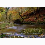 River Melte, Pontneddfechan