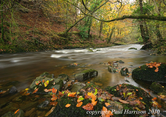 River Melte, near Pontneddfechan