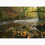 River Melte, near Pontneddfechan