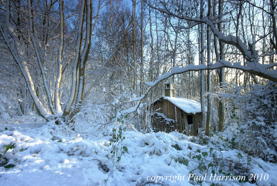 Woodcutter's cottage near Horsted Keynes