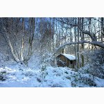 Woodcutter's cottage near Horsted Keynes