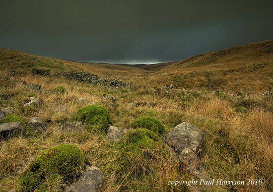 Black mountains