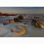 Petts Beach near Hastings