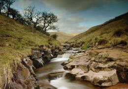 Stream, Brecon